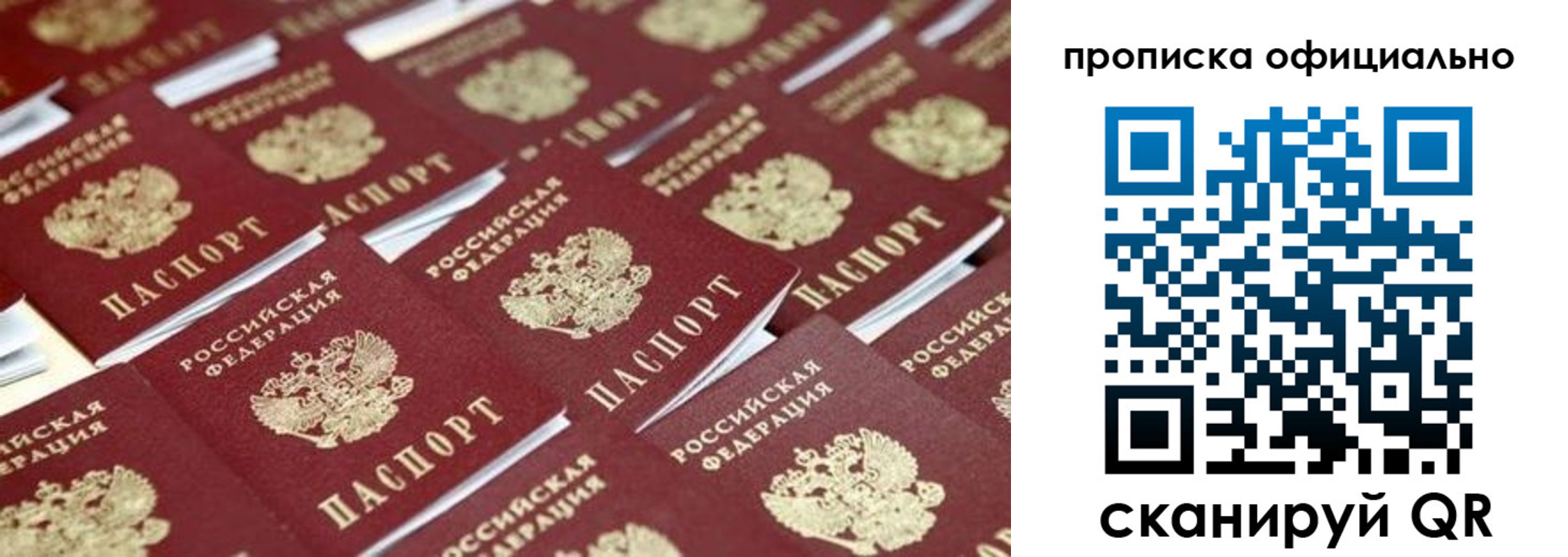 прописка гарантия в Красном Куте